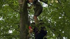 «Не могу слезть — страшно». Харьковские спасатели сняли подростка с высокого дерева (фото)
