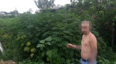 На Харьковщине разоблачены два «наркоплантатора» (фото)