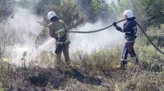 Жителям Харьковщины запретили ходить в лес из-за опасности пожаров