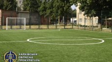 Бизнесмена подозревают в хищении бюджетных средств на строительстве детской спортплощадки (фото)