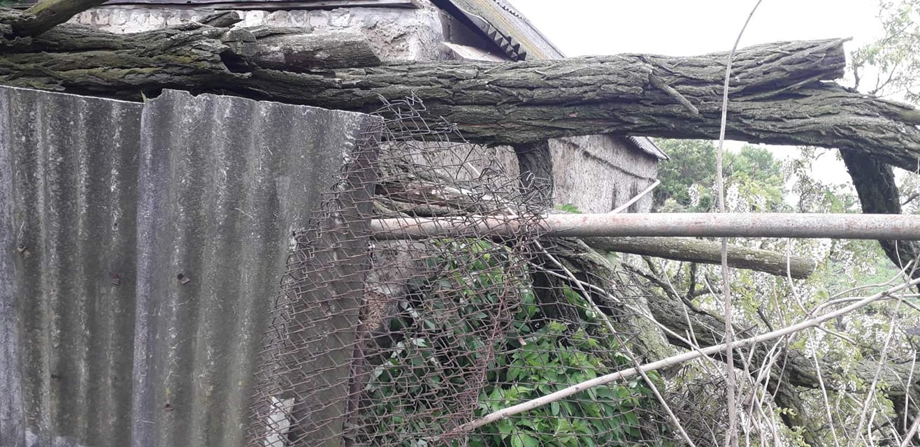 В Харьковской области восемь частных домов остались без газа из-за упавшего дерева