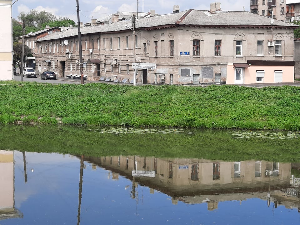 В Лопани зацветают желтые кубышки