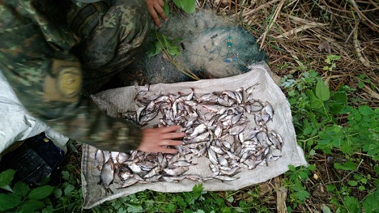 Житель Харьковщины выловил сетями более 200 штук разной речной рыбы