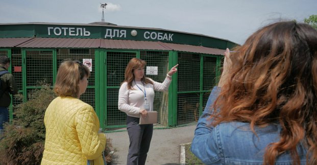 На Донеччине построят приют для животных по примеру приюта в Харькове