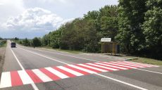 На дорогах Харьковщины нанесено 318 км дорожной разметки (фото)