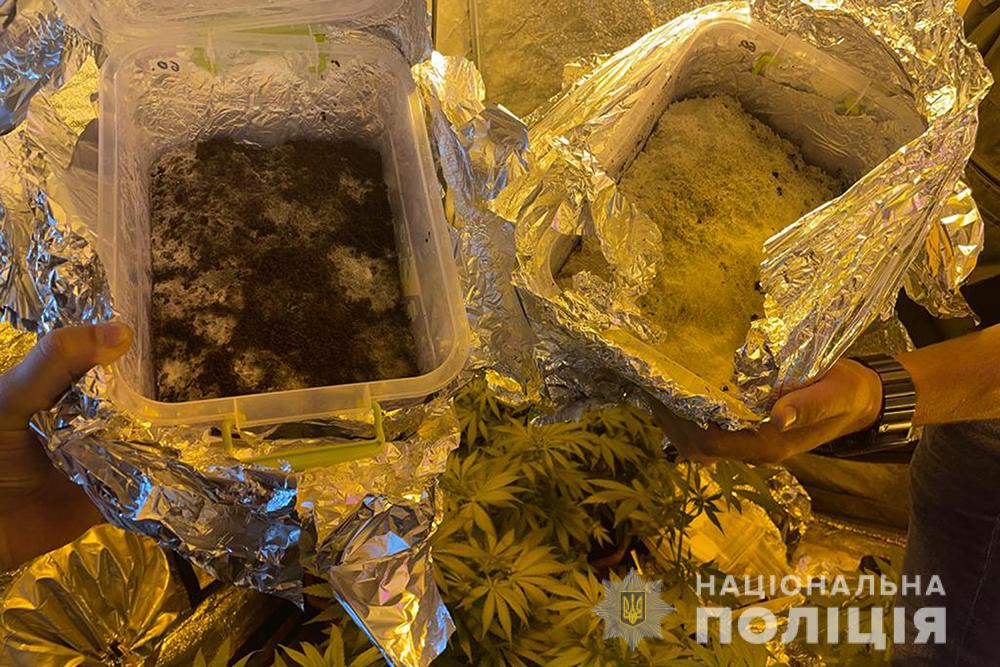 Полиция задержала наркодилера (фото)