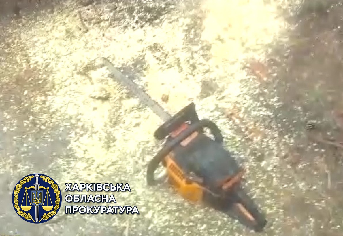 Харьковчанин незаконно рубил деревья, ущерб — 53 тыс. грн