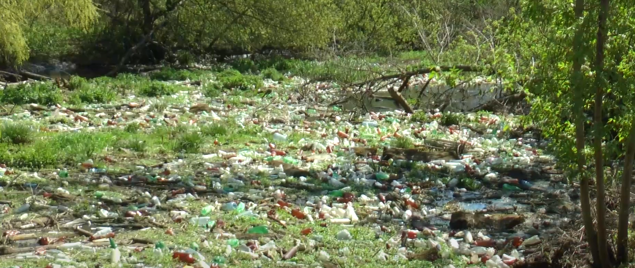 20 тонн сміття за три дні: екоактивісти ліквідували сміттєвий острів на річці Уди (відео)