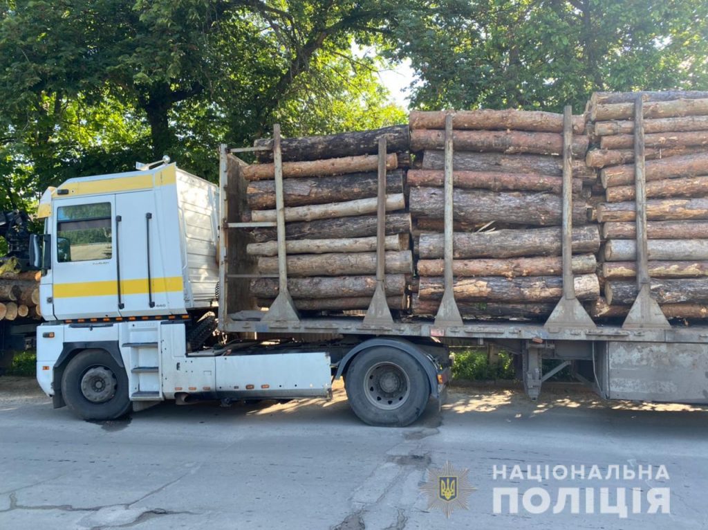 В Харьковской области остановили два грузовика з незаконно срубленными соснами (фото)