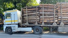 В Харьковской области остановили два грузовика з незаконно срубленными соснами (фото)