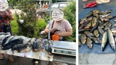 На Харьковщине продолжают проверять торговцев свежей рыбой (фото)