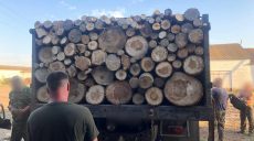 Агропредприятие на Харьковщине отправило местных жителей незаконно рубить лес