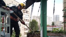 В столичной многоэтажке рухнул балкон с тонной земли под грядки с ягодами (фото)