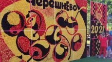 В Мелитополе в рамках фестиваля создали картину из черешен разного цвета
