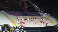 Залез на полицейскую машину и ударил «копа» — на Харьковщине хулигана отправили в СИЗО (фото, видео)