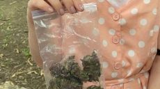 В Харькове патрульные за день задержали более 10 человек с наркотиками (фото)