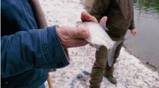 Рыболовам-любителям увеличат суточную норму вылова рыбы