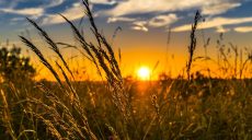 21 июня. Как ощущают день летнего солнцестояния украинцы