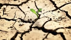 Украина — вторая в ТОП-5 стран мира, которым грозит засуха
