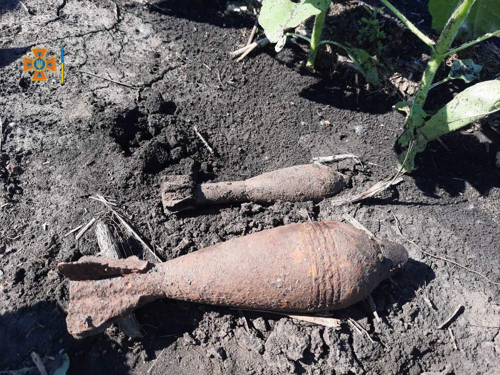 В Харьковской области нашли 30 боеприпасов (фото)