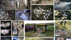 Во время рейдов в Харьковской области рыбоохранный патруль изъял почти 1500 кг рыбы