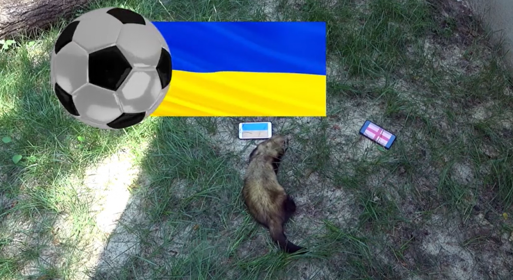Хорек-предсказатель из Харьковского зоопарка сделал прогноз на матч Украина-Англия (видео)