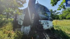 На Харьковщине автобус с пассажирами врезался в дерево (фото)