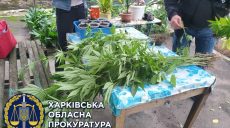 13-14 июля парламент рассмотрит легализацию каннабиса
