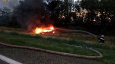На Харьковщине на трассе сгорел автомобиль (фото)