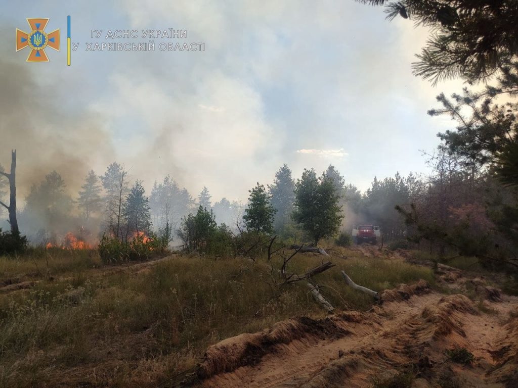 На Харьковщине за сутки потушили 21 пожар на открытых территориях