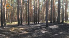 Спасатели потушили лесной пожар (фото)
