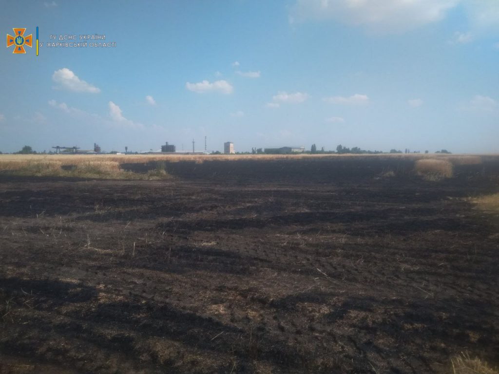 В Харьковской области сгорел гектар пшеницы