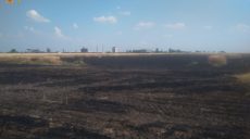 В Харьковской области сгорел гектар пшеницы