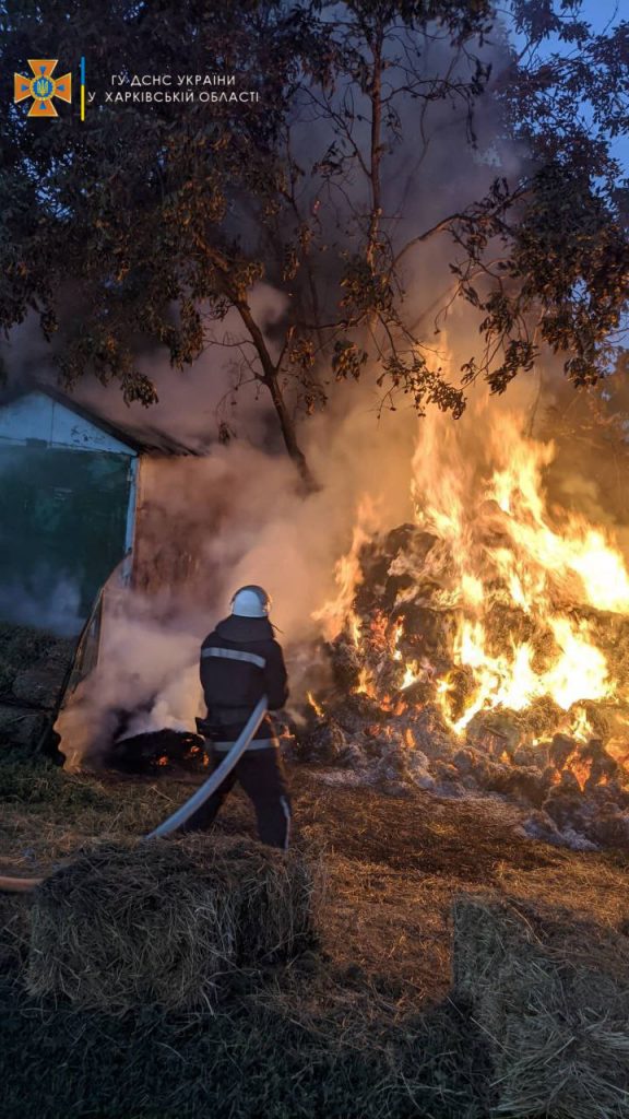 В Харьковской области на территории частного дома загорелись две тонны сена (фото)