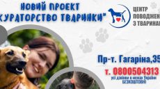 Харьковчанам предложили новую форму общения с собаками и котами