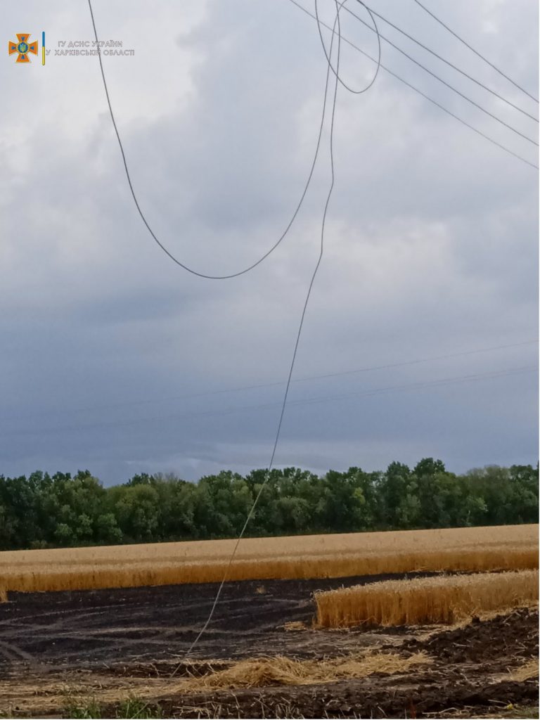 В Харьковской области из-за электрического замыкания загорелось поле пшеницы (фото)