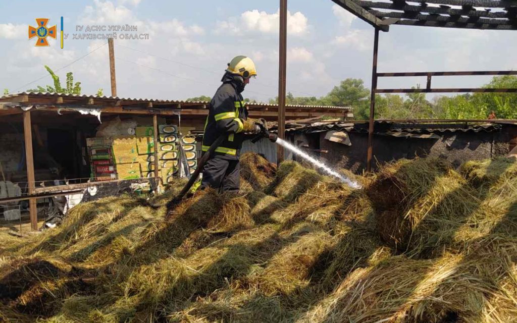 В Харьковской области вспыхнуло 14 тонн сена (фото)