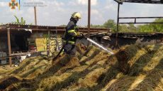 В Харьковской области вспыхнуло 14 тонн сена (фото)