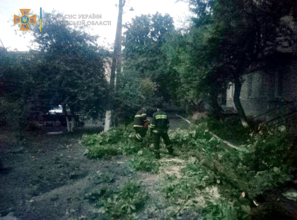 В Харьковской области из-за сильного ветра попадали деревья (фото)
