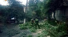 В Харьковской области из-за сильного ветра попадали деревья (фото)