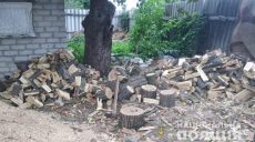 На Харьковщине задержали четверых местных жителей, которые рубили ценные породы деревьев (фото)