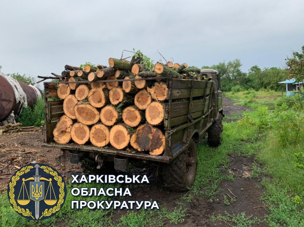 Предприятие по производству древесного угля загрязняло атмосферу (фоторепортаж)