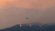 На Кипре массово горят леса: есть погибшие