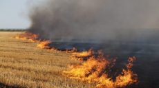 За сутки в Харьковской области сгорели 4 гектара сухой травы и камыша