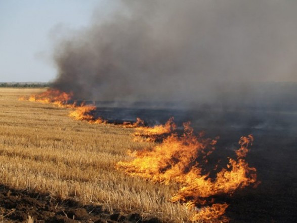 За сутки в Харьковской области сгорели 4 гектара сухой травы и камыша
