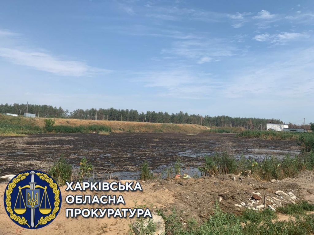 В Харьковской области свиноферма загрязняет земли отходами — прокуратура (фото)