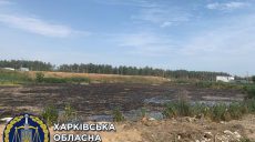 В Харьковской области свиноферма загрязняет земли отходами — прокуратура (фото)