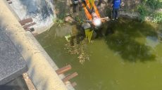 Из водоема под Нетеченским мостом достали мертвого мужчину (фото, видео)