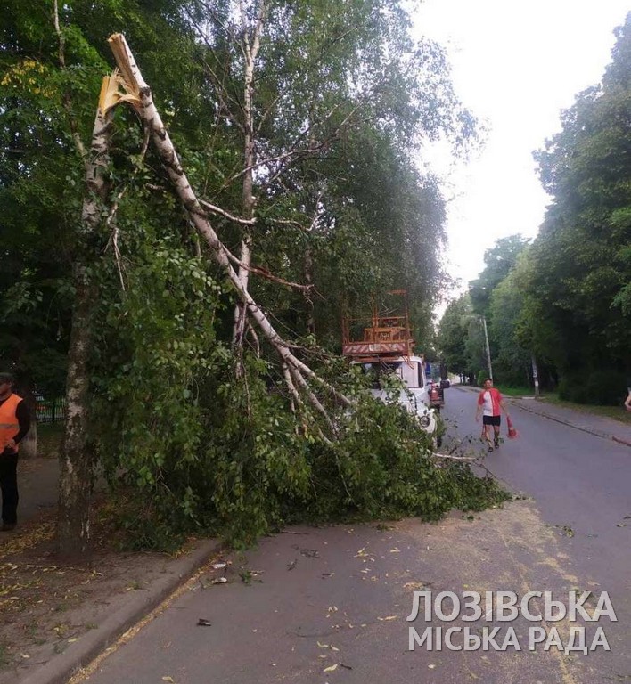 Последствия стихии: в Харькове и области попадали деревья (фото, видео)