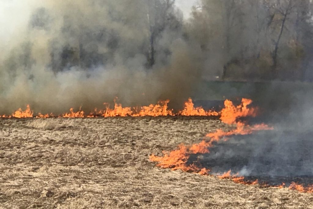 На Харьковщине бушуют пожары: сгорели 9 комбайнов, собиравших урожай (видео)